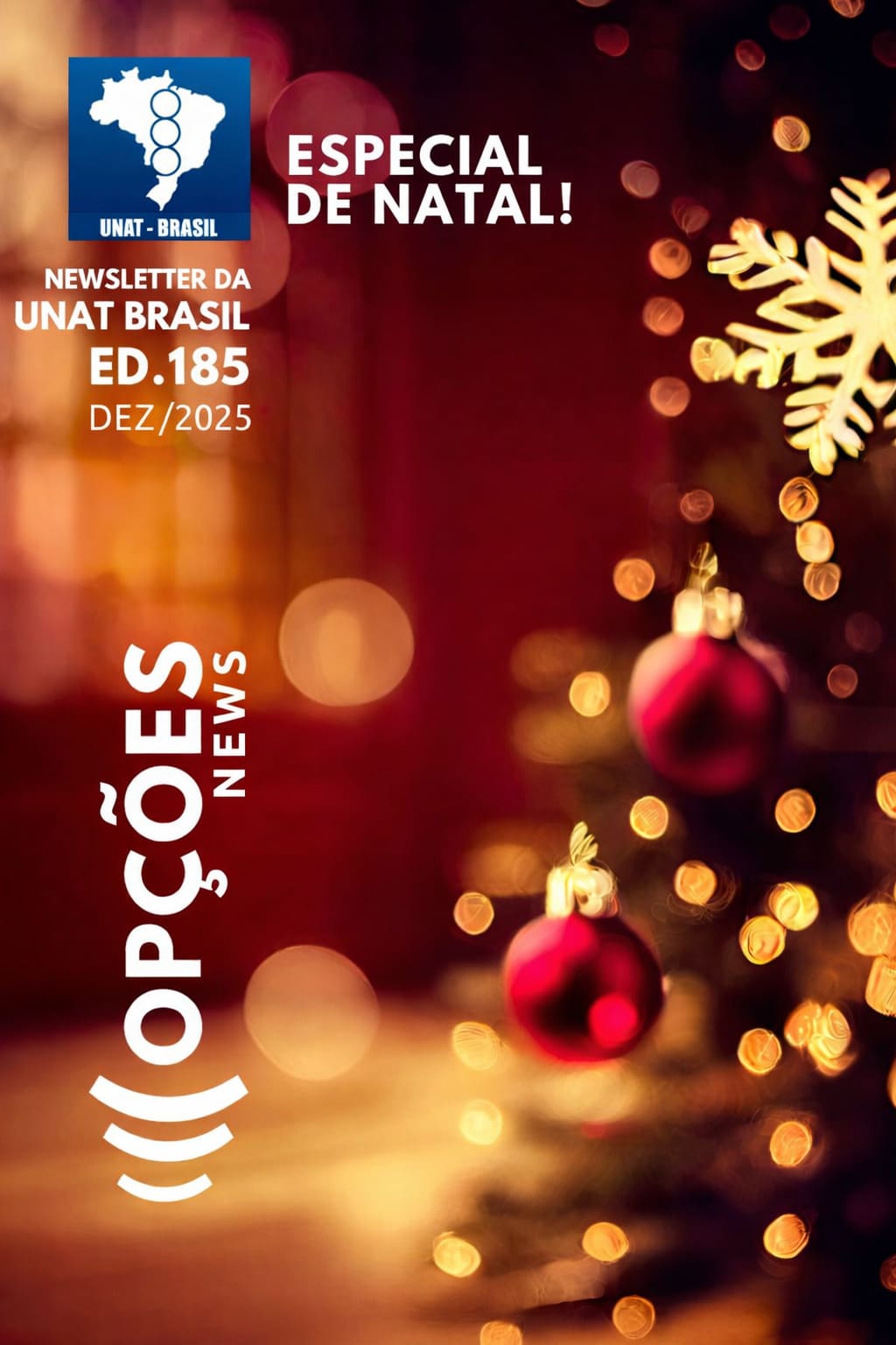 Opções News - Newsletter da UNAT-Brasil - Fevereiro 